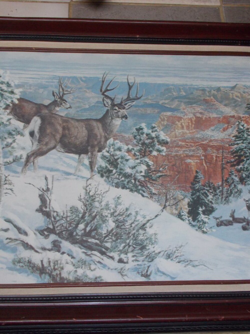 Vintage wildlife deer lithograph on canvas framed, by Beecham - Picture 7 of 8